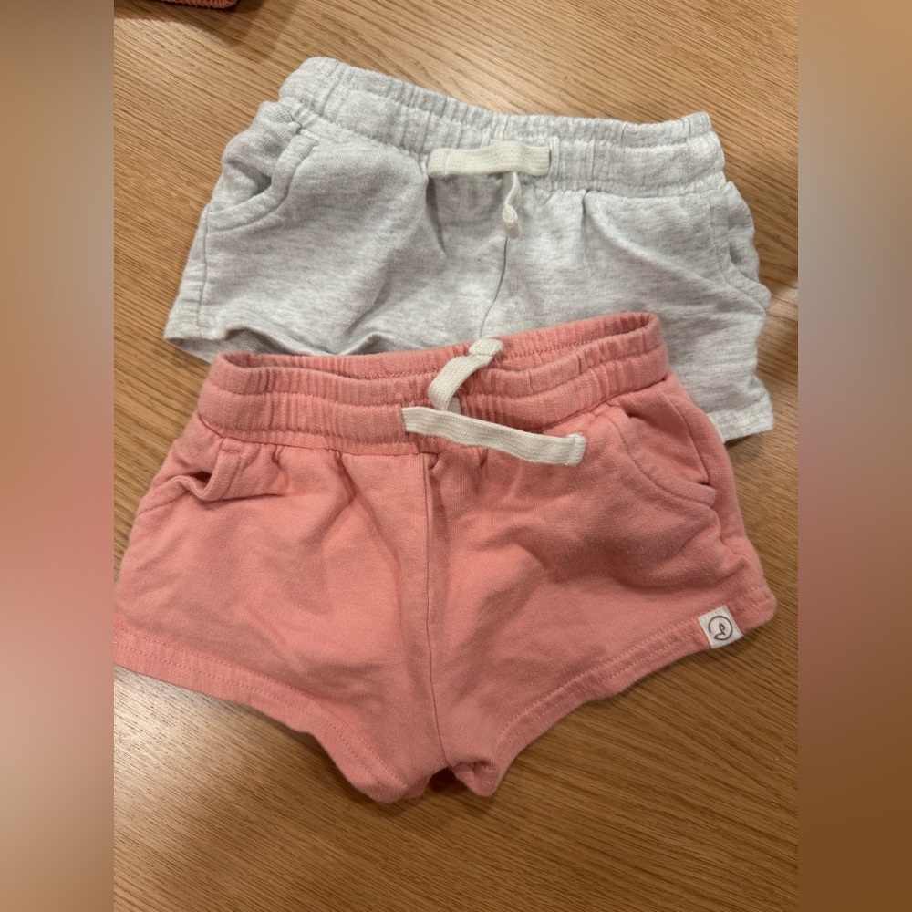 Carter's Pink and Gray Baby Shorts Duo